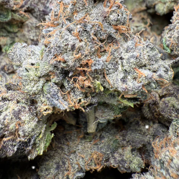 Gary Payton 1 Oz $135