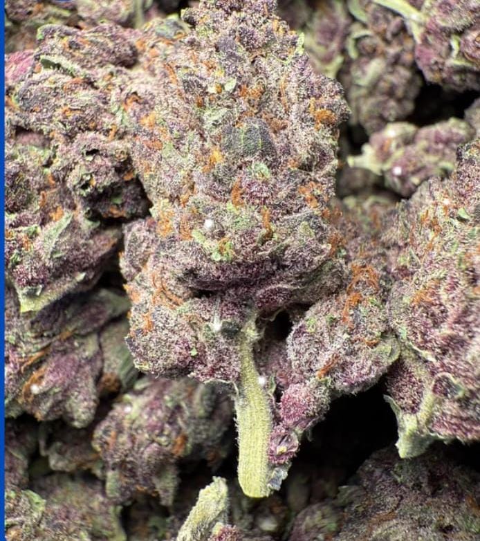 Purple Cherries 🍒 Exotic $1275 lb (bigs)