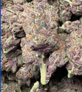 Purple Cherries 🍒 Exotic $135 Oz