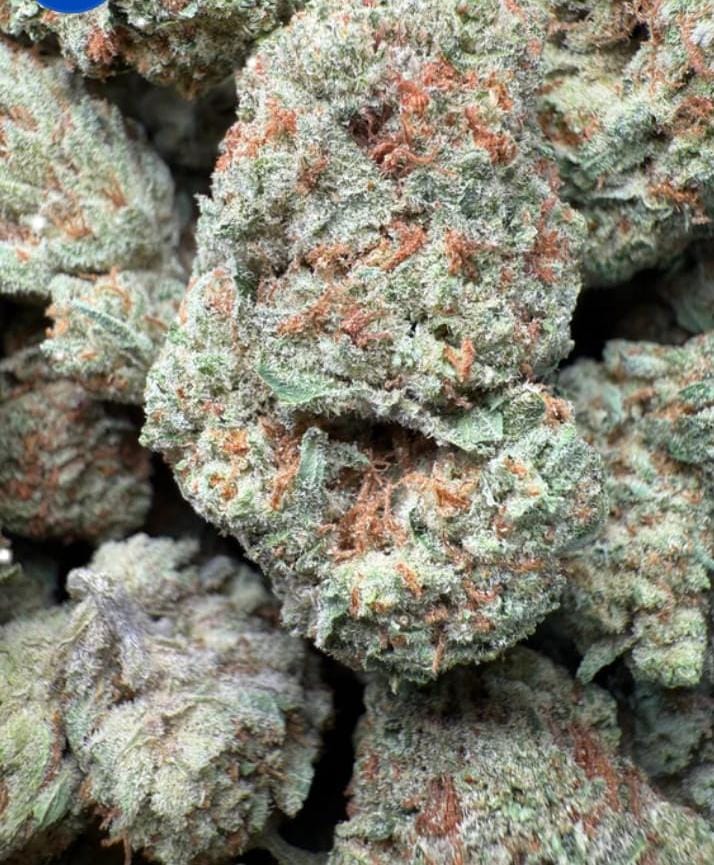 Blue Queen 👑 $1275 lb (bigs)