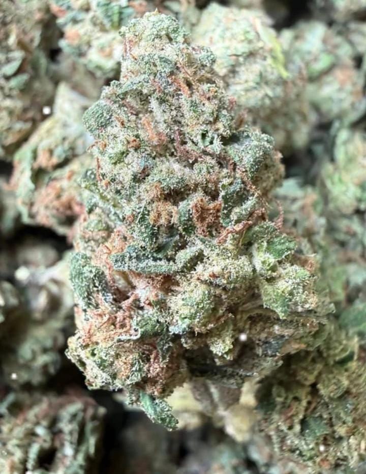 Wu Tang Super OG $1025 lb (bigs)