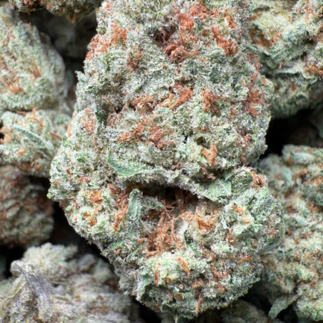 Blue Queen 1 Oz $140